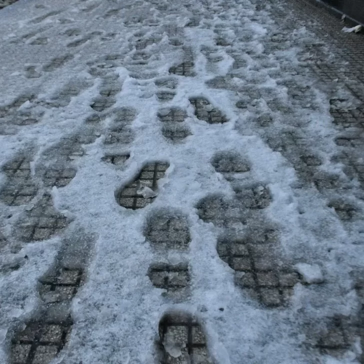 Río Gallegos amaneció cubierta de blanco: ¿Hasta cuándo sigue la nieve?