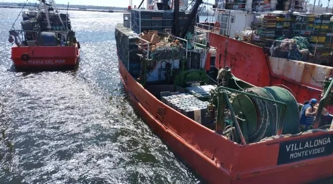 Denuncian que el Puerto de Montevideo es un colador para la pesca ilegal que captura recursos argentinos 