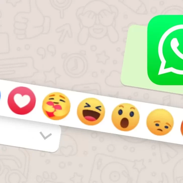Novedades de WhatsApp: llegarían las encuestas y las reacciones a mensajes