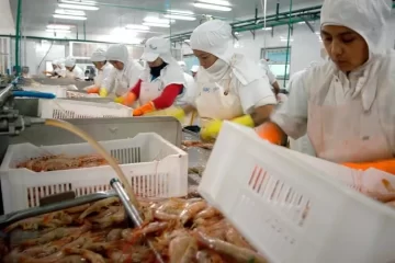 Pesca nacional: Puerto Deseado a la espera de las definiciones de la cuota de merluza Pesca nacional: Puerto Deseado a la espera de las definiciones de la cuota de merluza