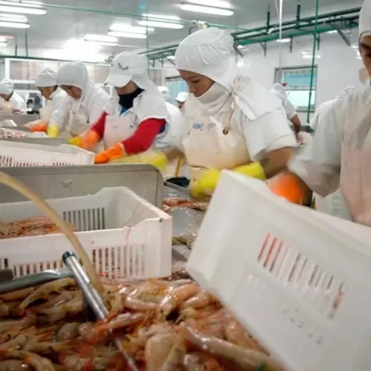 En marzo se definirá cuándo inicia la zafra del langostino del 2023 En marzo se definirá cuándo inicia la zafra del langostino del 2023