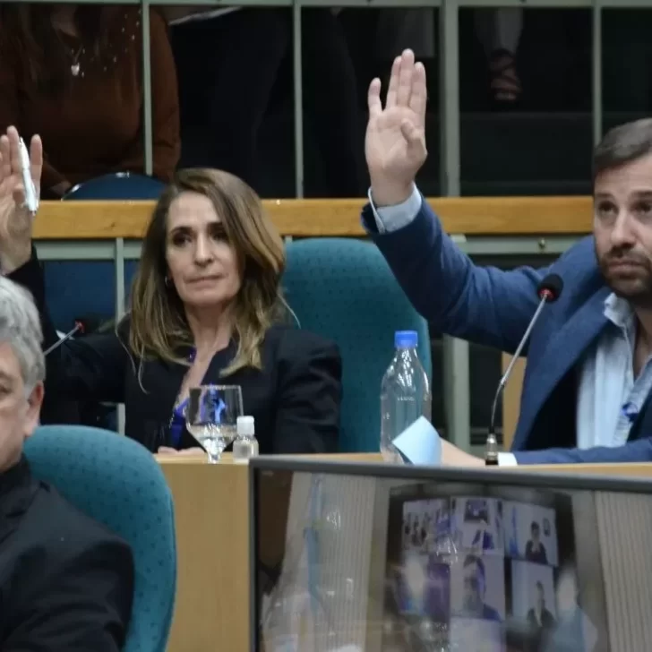 La oposición impulsa la ley de “ficha limpia” en Santa Cruz La oposición impulsa la ley de “ficha limpia” en Santa Cruz