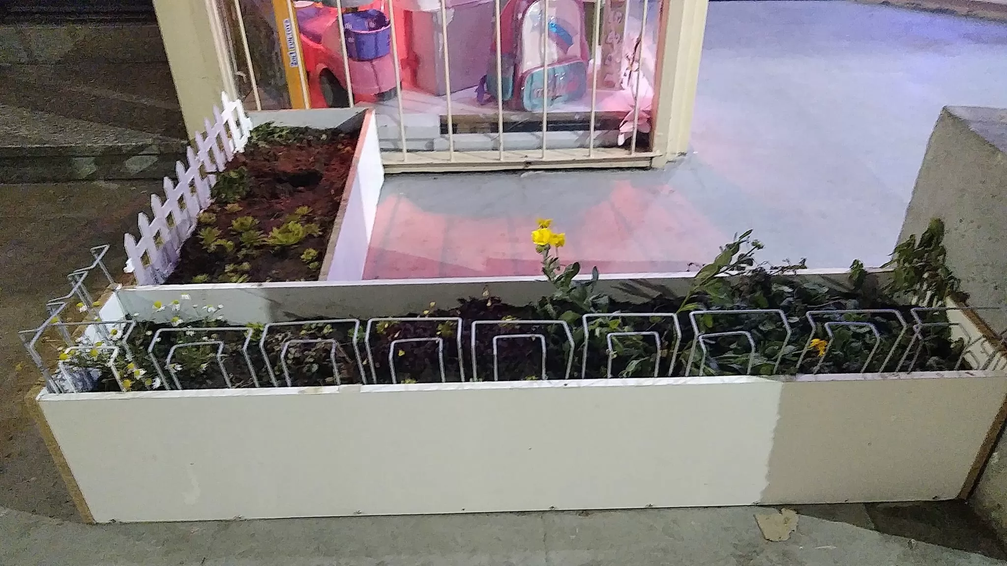 Los “roba plantas” no se toman vacaciones: ahora atacaron el cantero de un comercio en el centro de Río Gallegos