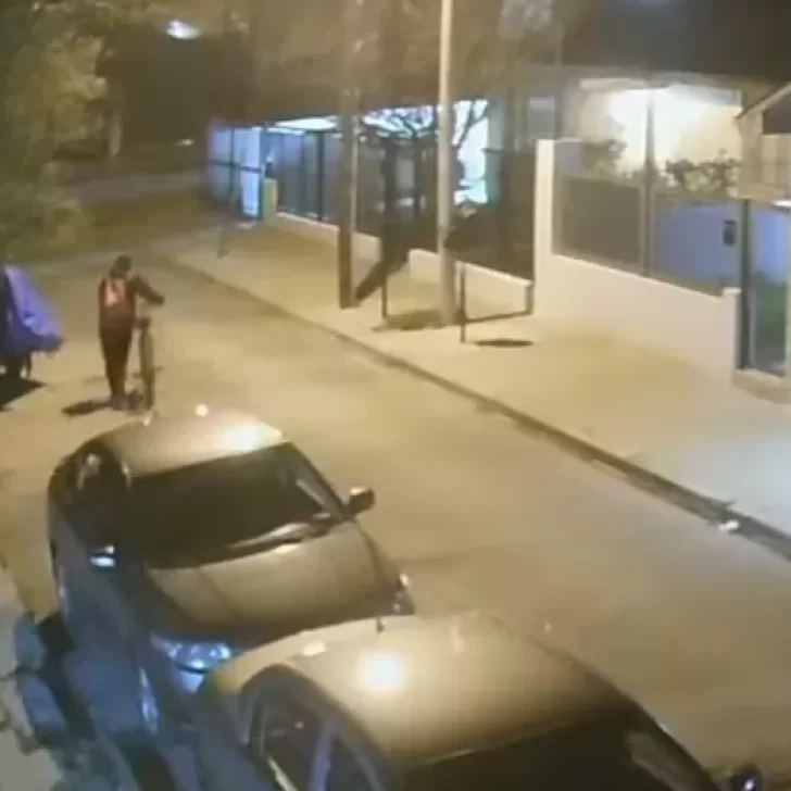Video. Robó una bicicleta y quedó registrado en las cámaras de seguridad: piden la colaboración de los vecinos para identificarlo