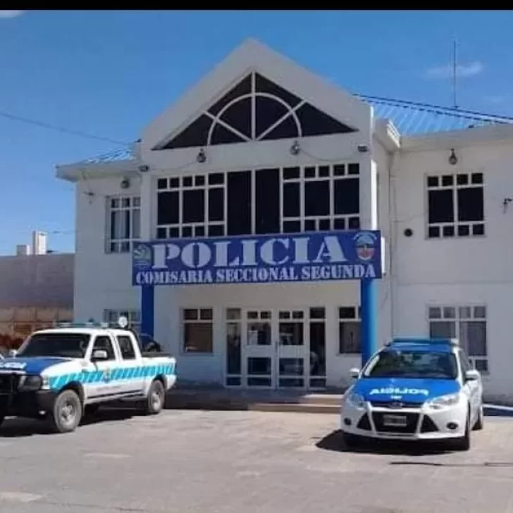 Un chico de 19 años entró a una rotisería, se robó un celular y terminó detenido