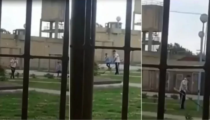 Video. Filmaron a dos rugbiers condenados por el crimen de Fernando Báez Sosa cortando el césped de la cárcel