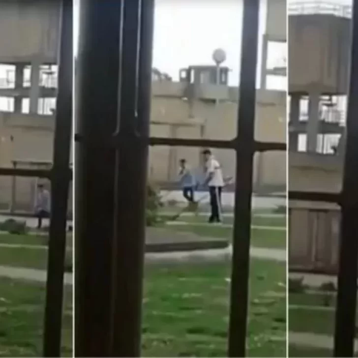 Video. Filmaron a dos rugbiers condenados por el crimen de Fernando Báez Sosa cortando el césped de la cárcel Video. Filmaron a dos rugbiers condenados por el crimen de Fernando Báez Sosa cortando el césped de la cárcel