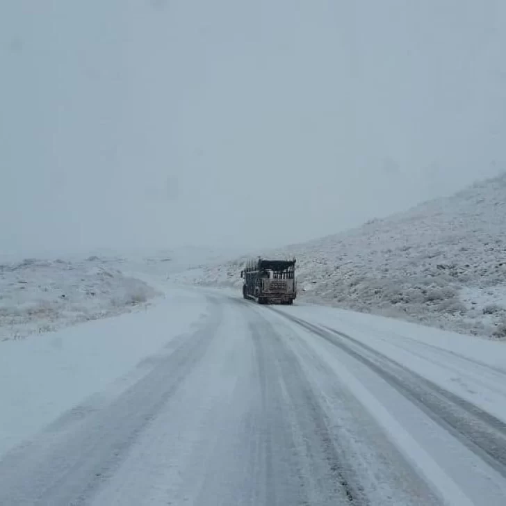 ¿Qué hay que tener en cuenta antes de emprender un viaje por rutas nevadas? ¿Qué hay que tener en cuenta antes de emprender un viaje por rutas nevadas?