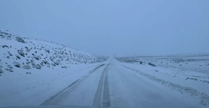 Ruta 3 y 40 permanecen cortadas en varios tramos por el temporal de nieve en Santa Cruz