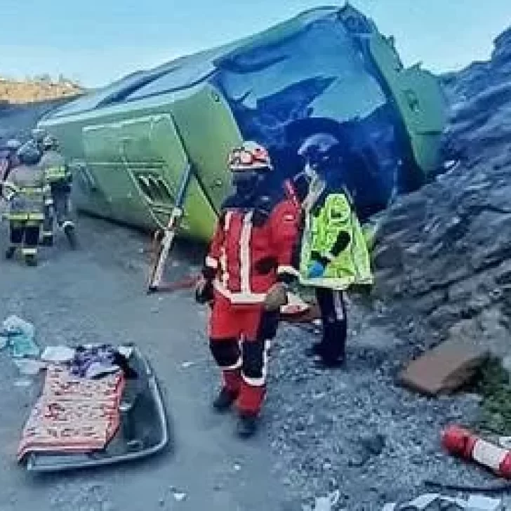 29 heridos: un colectivo volcó camino a Torres del Paine