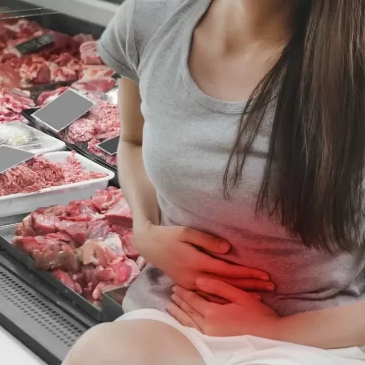 Conservación de alimentos: cómo prevenir intoxicaciones por salmonella y otras bacterias Conservación de alimentos: cómo prevenir intoxicaciones por salmonella y otras bacterias