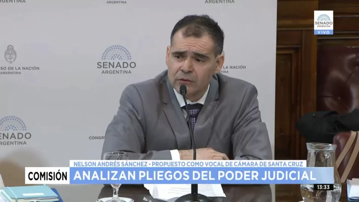 Nelson Sánchez expuso ante el Senado y abogó por la agilidad, transparencia y eficiencia en la Justicia