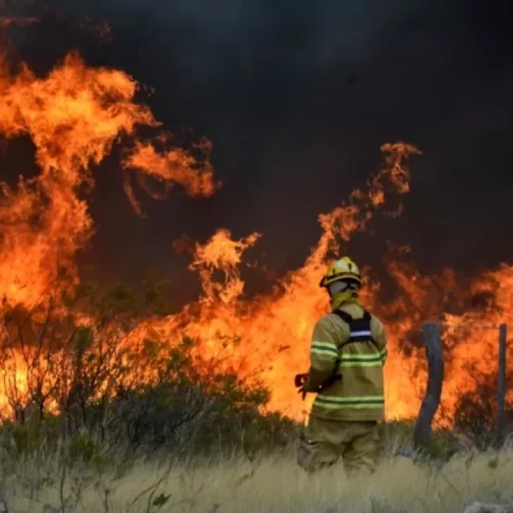 Incendio en Puerto Madryn: ya consumió cerca de 90.000 hectáreas y se acerca a la península de Valdés