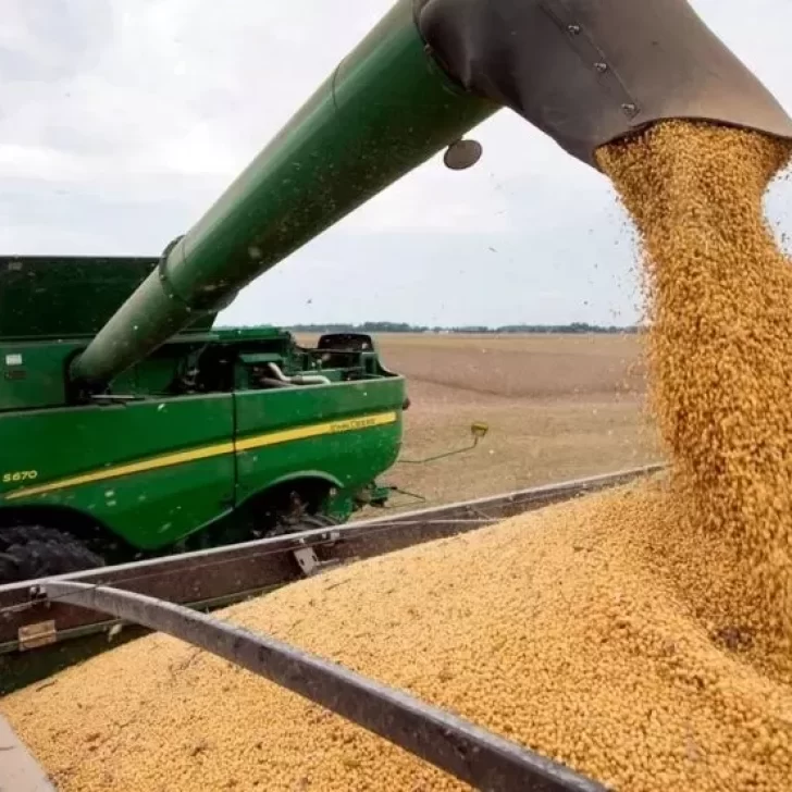 El Gobierno suspendió “hasta nuevo aviso” las exportaciones de la harina y el aceite de soja
