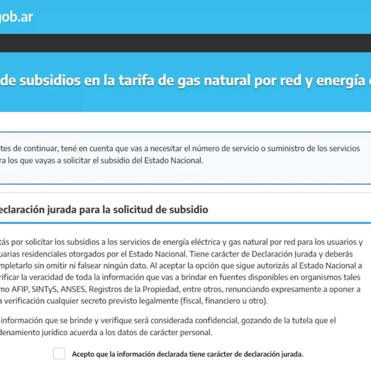 Segmentación de tarifas: arranca una nueva etapa para la inscripción a los subsidios de luz y gas