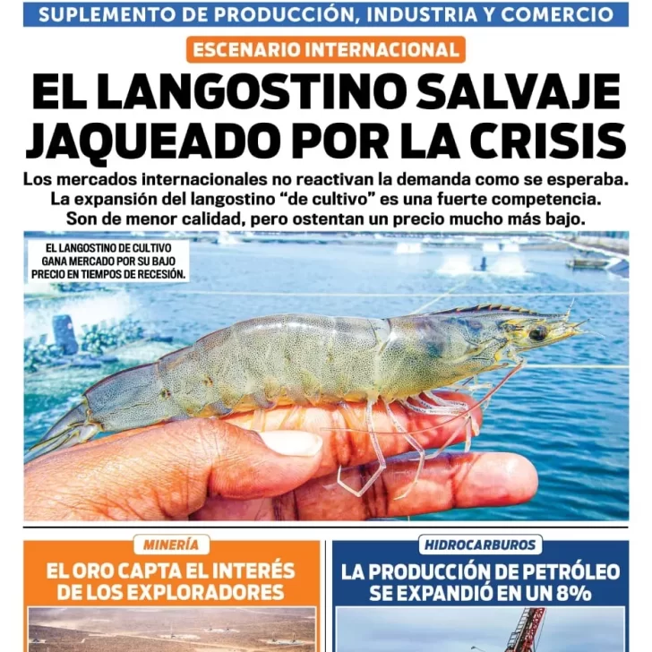 Tapa Suplemento especial de Santa Cruz Produce, El langostino salvaje jaqueado por la crisis