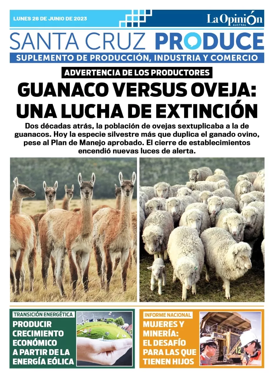 Tapa Suplemento especial de Santa Cruz Produce, Guanaco versus Oveja: una lucha de extinción