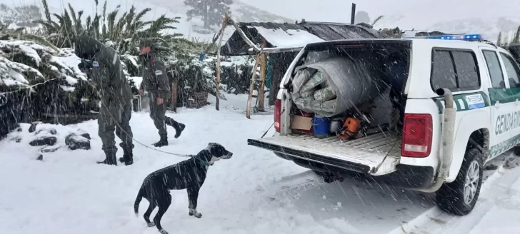 Video. Temporal de nieve en la Patagonia: varias personas quedaron varadas por horas en la ruta y fueron rescatadas por gendarmería