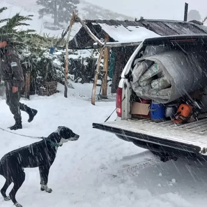 Video. Temporal de nieve en la Patagonia: varias personas quedaron varadas por horas en la ruta y fueron rescatadas por gendarmería