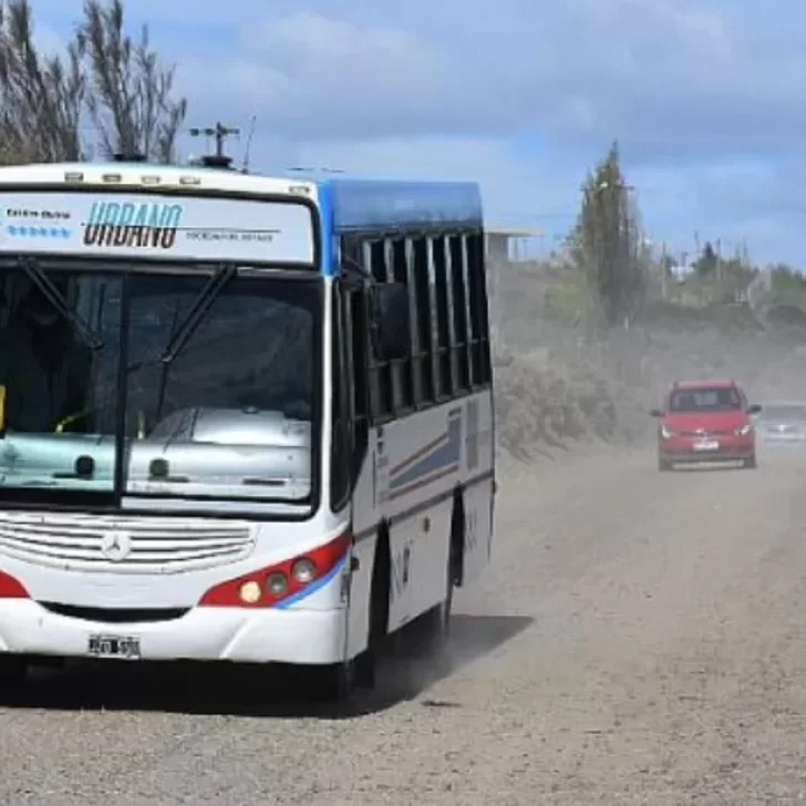Paro de Colectivos: Cuánto cobra un chofer de colectivo en Santa Cruz y de cuánto es el aumento que negocia la UTA