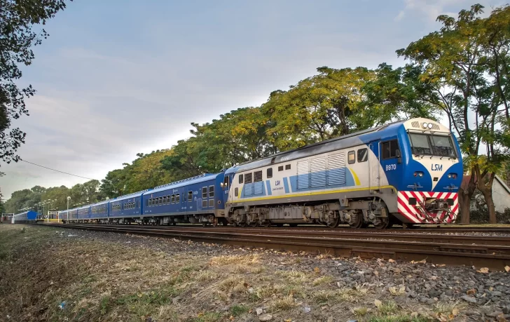 Un tren atropelló a dos nenes que saltaron a las vías para rescatar a su perro