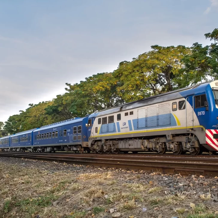 Un tren atropelló a dos nenes que saltaron a las vías para rescatar a su perro