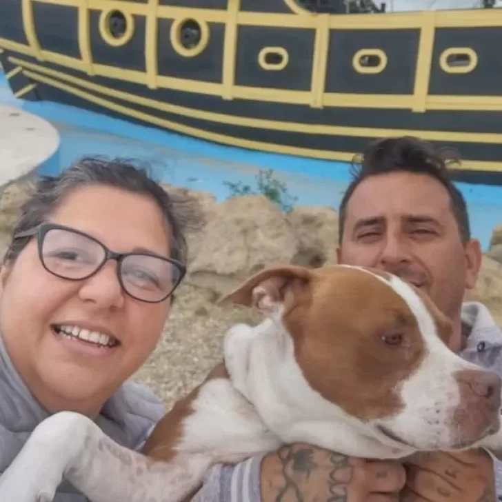 Viajan con su pitbull por la Argentina, quedaron varados en Río Gallegos y necesitan ayuda para seguir