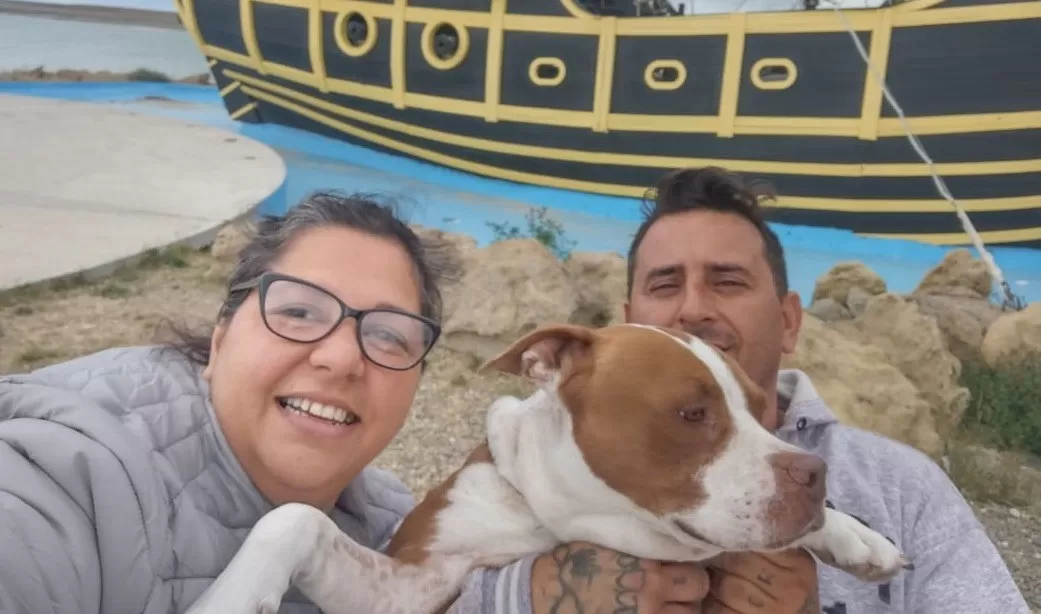 Viajan con su pitbull por la Argentina, quedaron varados en Río Gallegos y necesitan ayuda para seguir