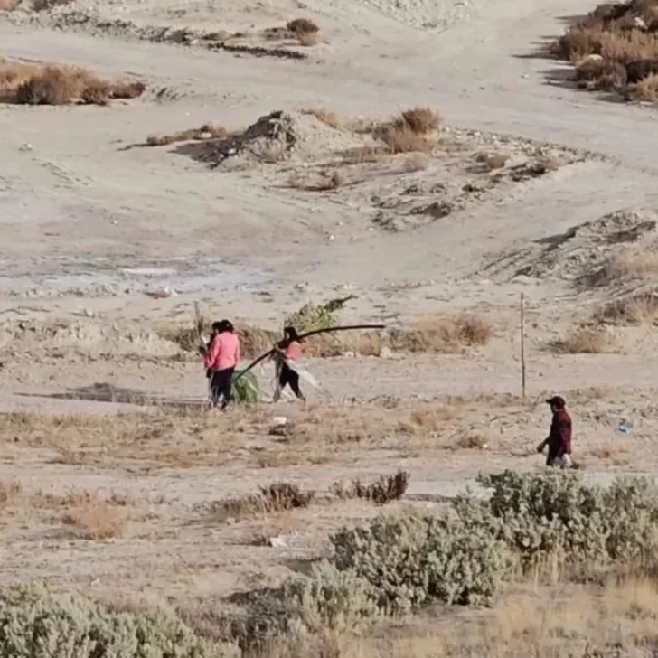 Un grupo de más de 50 personas intentó usurpar tierras del Puerto Madryn Golf Club