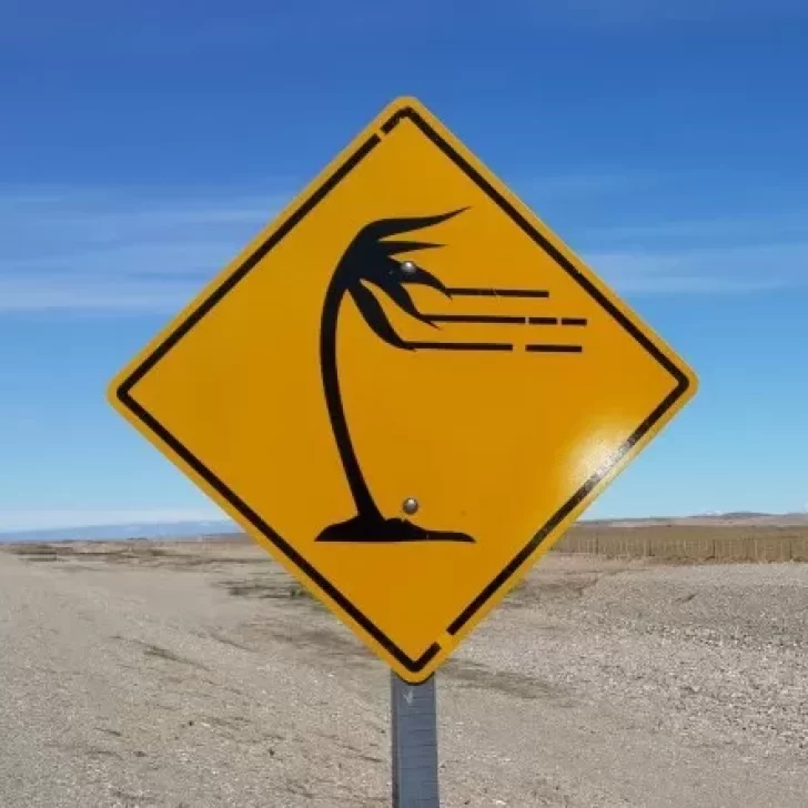 Rutas cortadas por viento extremo: restricción total de circulación desde el mediodía en toda la provincia de Santa Cruz Rutas cortadas por viento extremo: restricción total de circulación desde el mediodía en toda la provincia de Santa Cruz