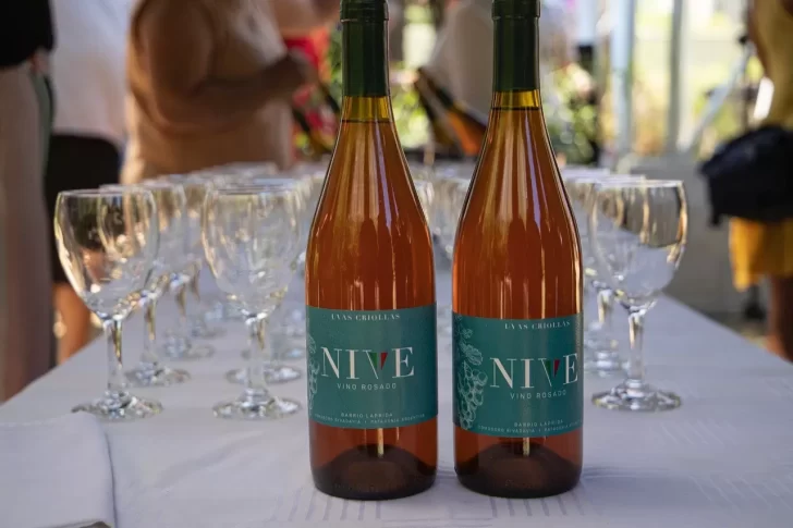 Vinos comodorenses: presentaron dos variedades de blancos y tintos de la Cosecha 2022