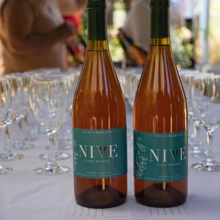 Vinos comodorenses: presentaron dos variedades de blancos y tintos de la Cosecha 2022