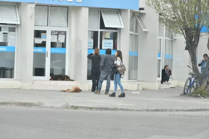 IFE 5: más de 600 personas se acercaron a la ANSES de Río Gallegos para inscribirse en el Refuerzo de Alimentos 