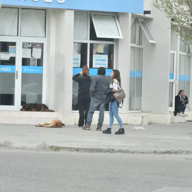 IFE 5: más de 600 personas se acercaron a la ANSES de Río Gallegos para inscribirse en el Refuerzo de Alimentos 