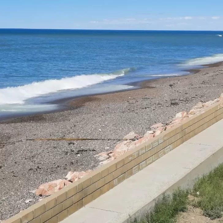 Así retiraron a la ballena muerta en la costanera de Caleta Olivia 