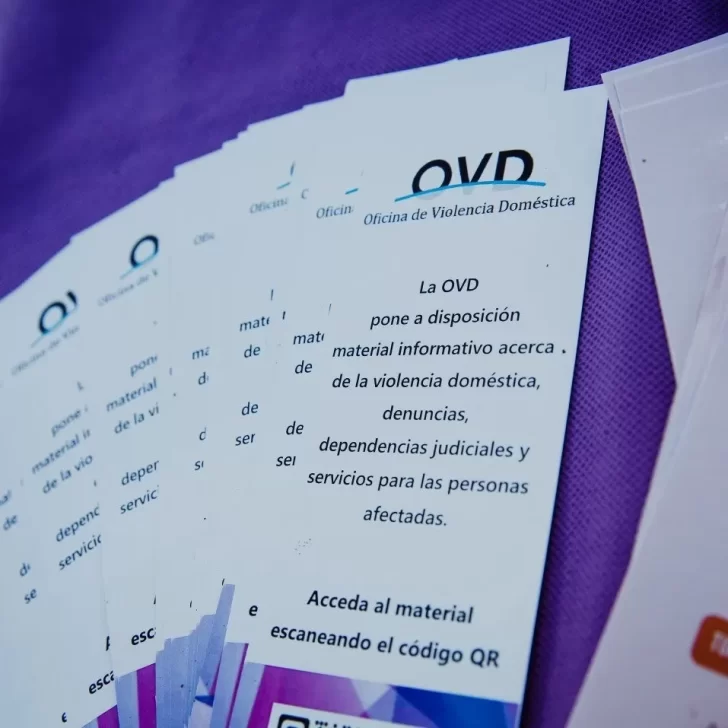 Estadísticas 2022: hubo un aumento de denuncias y consultas en la OVD