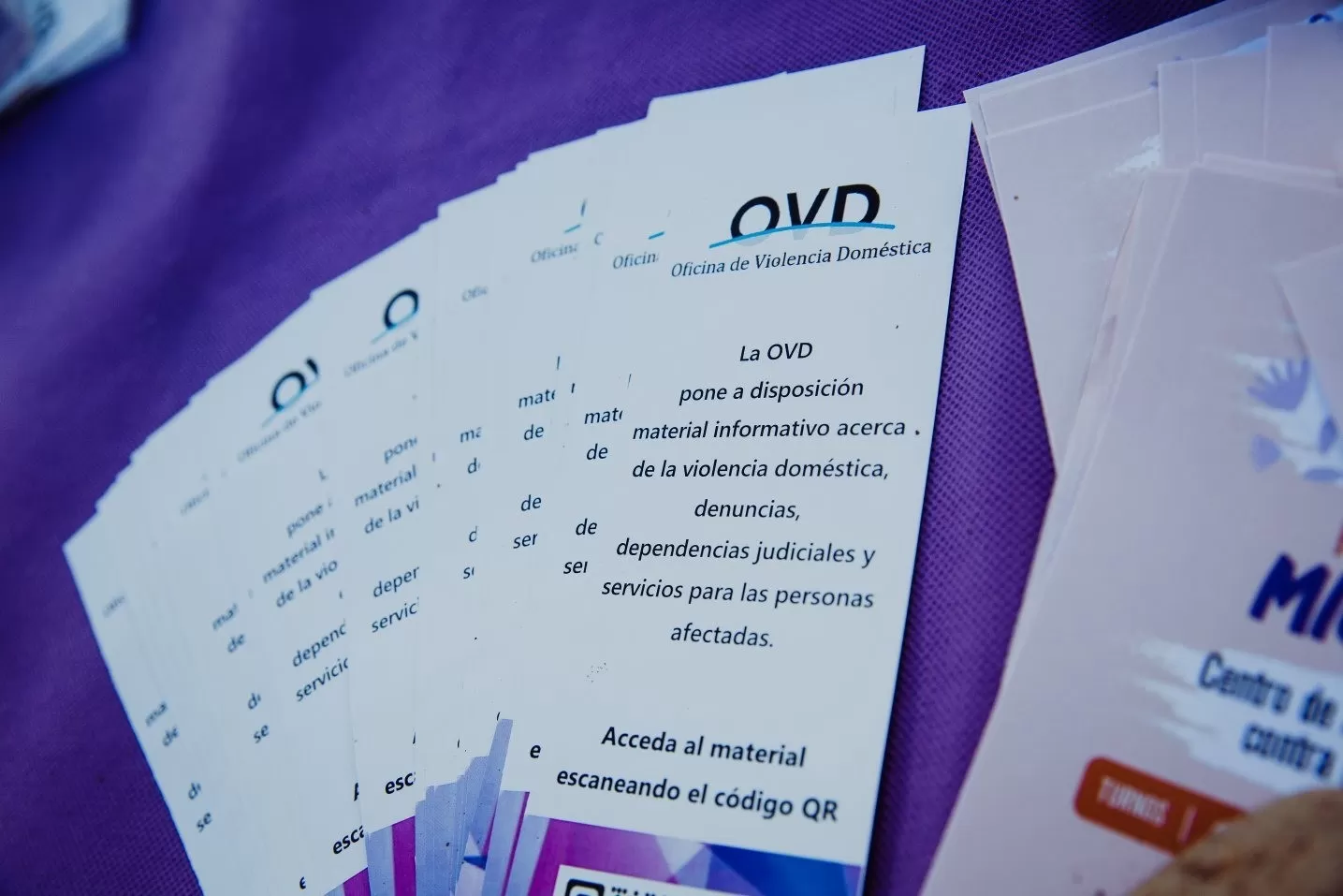 Estadísticas 2022: hubo un aumento de denuncias y consultas en la OVD