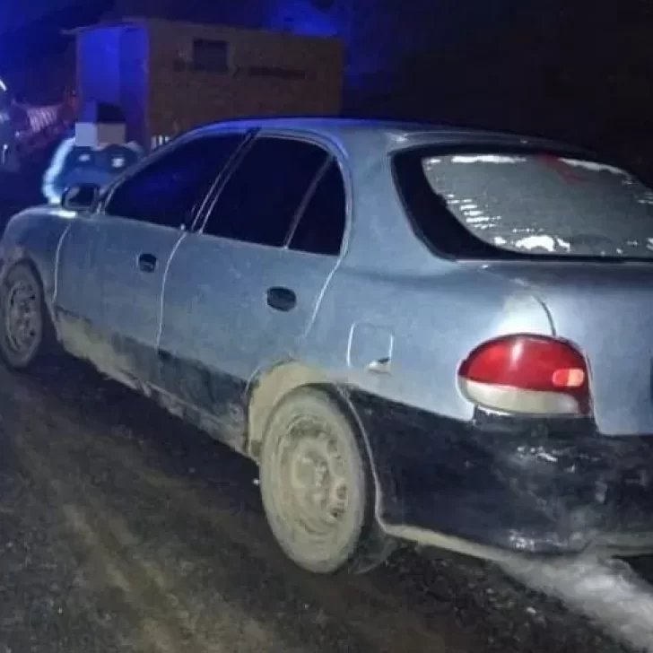 Quiso robarse cinco ovejas pero vio un control de Gendarmería e intentó escapar