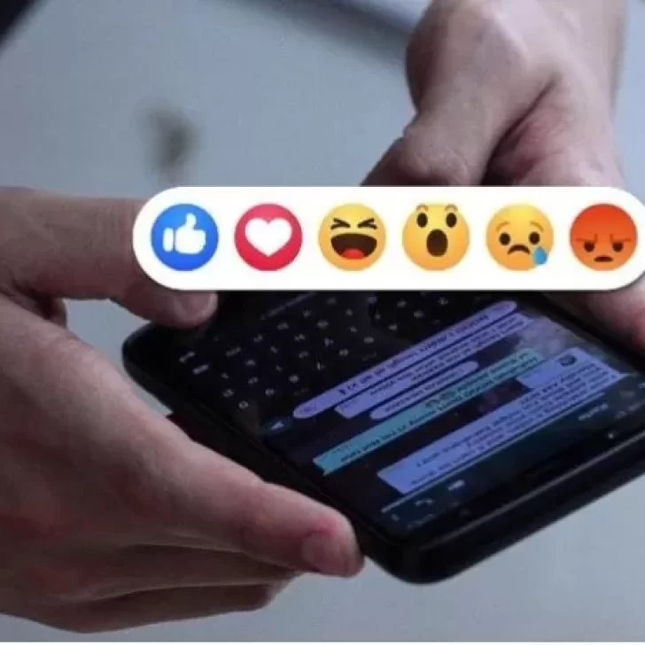 Comunidades, reacciones con Emojis y “Leer después”, las nuevas funciones de WhatsApp