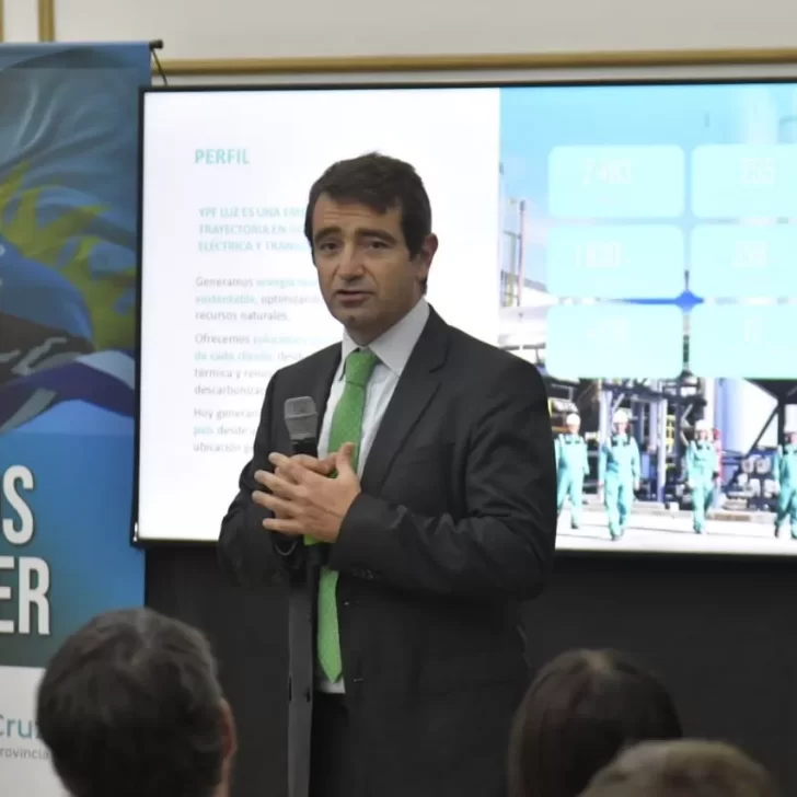 YPF Luz desarrollará un parque eólico en cercanías de Río Gallegos