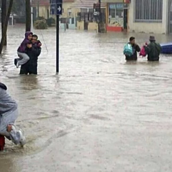 Crearon empresas fantasmas para quedarse con la plata del temporal