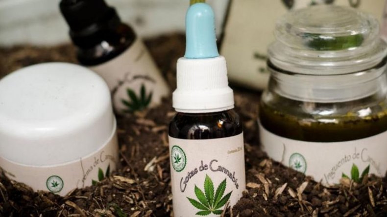 Incautan aceite de cannabis pese a que está aprobado su uso por ley