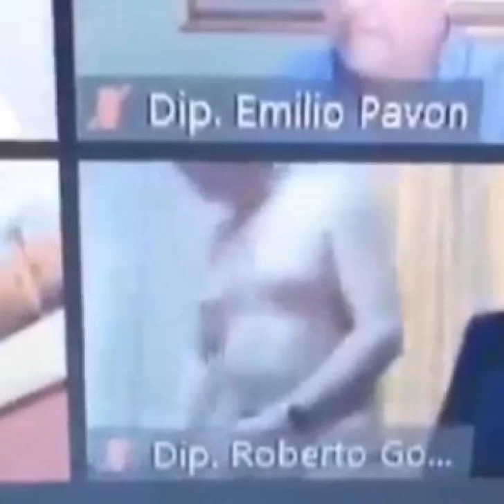 Diputado paraguayo apareció desnudo en plena sesión: “Se me derramó el tereré”