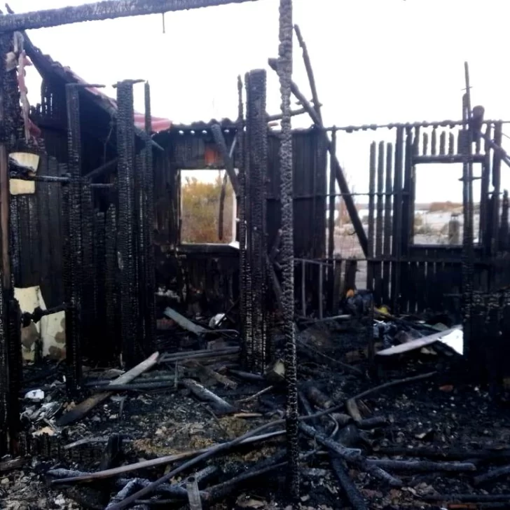 Gracias a la solidaridad se levanta de entre las cenizas la chacra El Petiso Gracias a la solidaridad se levanta de entre las cenizas la chacra El Petiso