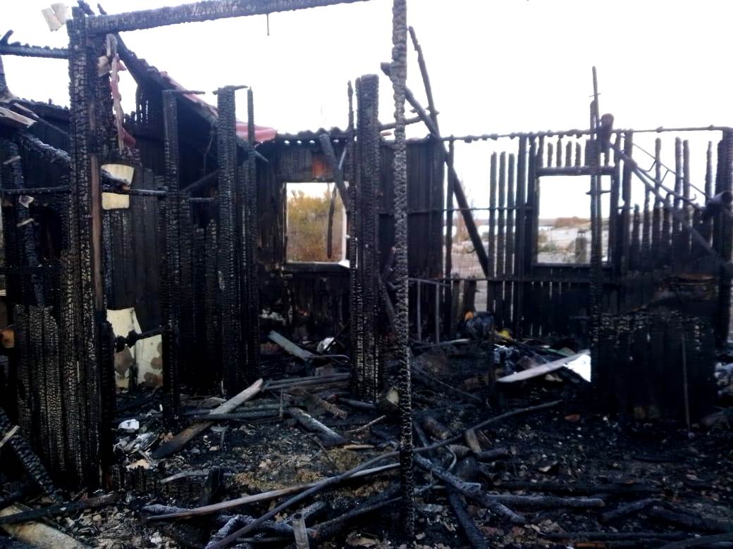 Gracias a la solidaridad se levanta de entre las cenizas la chacra El Petiso Gracias a la solidaridad se levanta de entre las cenizas la chacra El Petiso