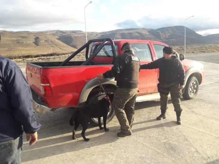 Fiesta del Lago: pareja chilena fue demorada con marihuana en el ingreso a El Calafate