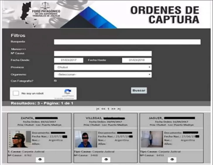Presentaron el registro patagónico online de órdenes de captura