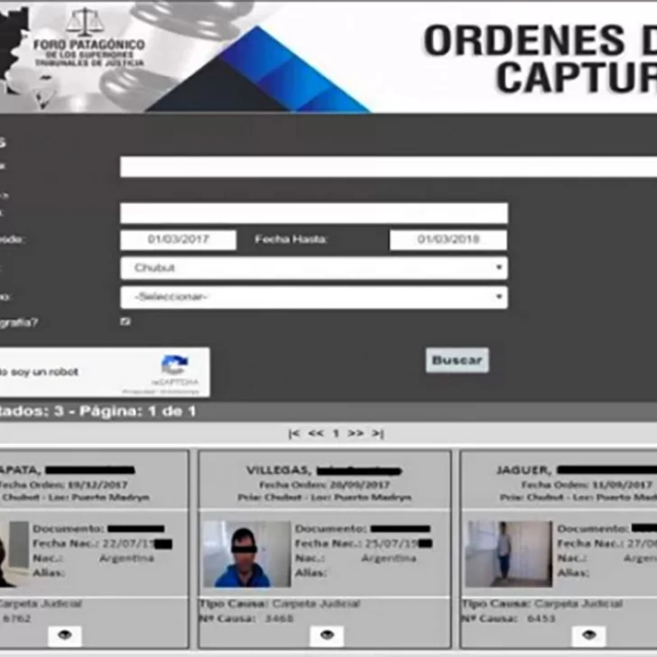 Presentaron el registro patagónico online de órdenes de captura
