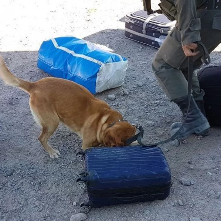 Detuvieron a prófugo acusado de cometer un homicidio en Comodoro