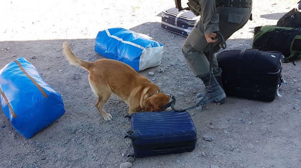 Detuvieron a prófugo acusado de cometer un homicidio en Comodoro